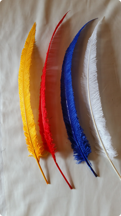 Nandu Ostrich feathers