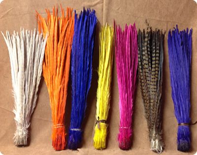 Ringneck Pheasant Tail feathers