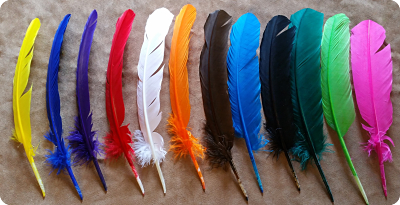 Tom Quill feathers
